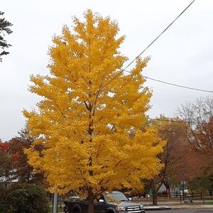 Meet your Posher, Isaac orozco